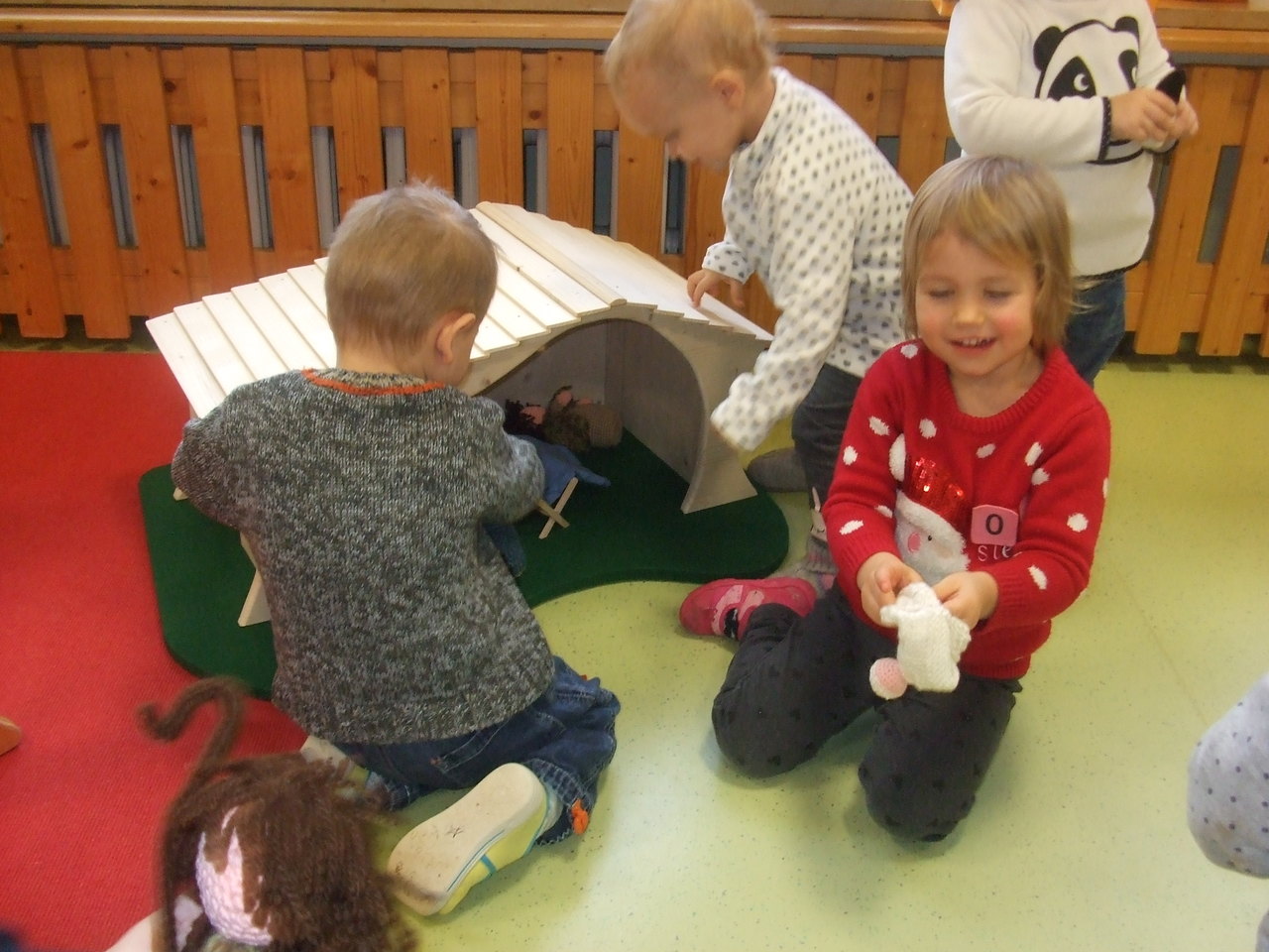 50_2017-01-19__a215e794___DSCF3078__Copyright_Kindergarten_Grossheubach